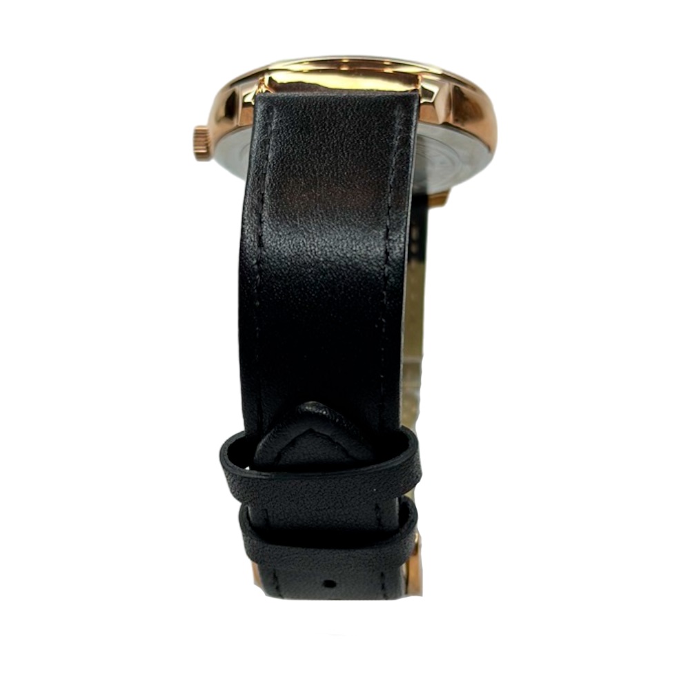 Годинник з кварцовим механізмом Pagani Design PD-1654 Black/Brown