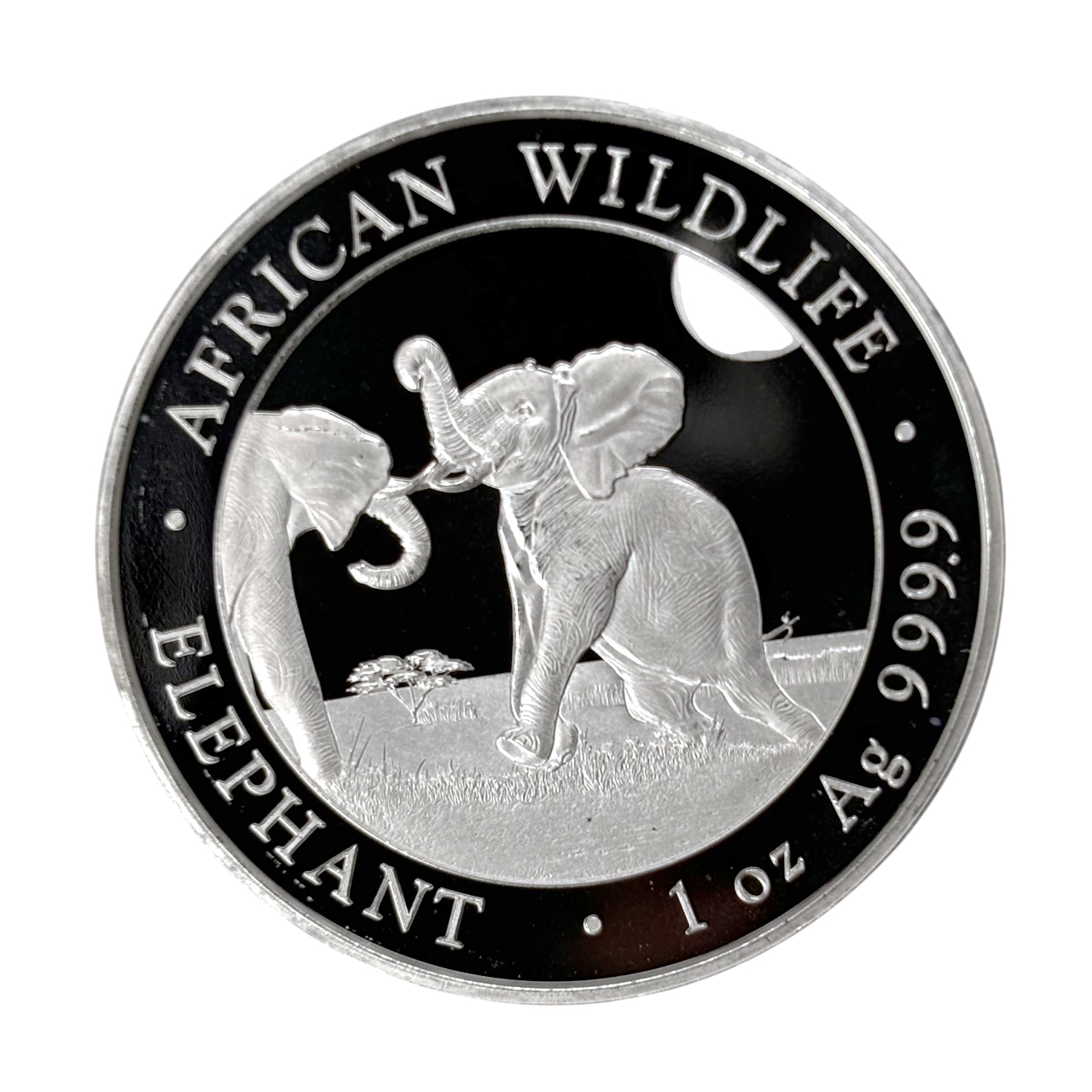 Серебряная монета 100 SOS Сомалийский слон 1oz 2024 года