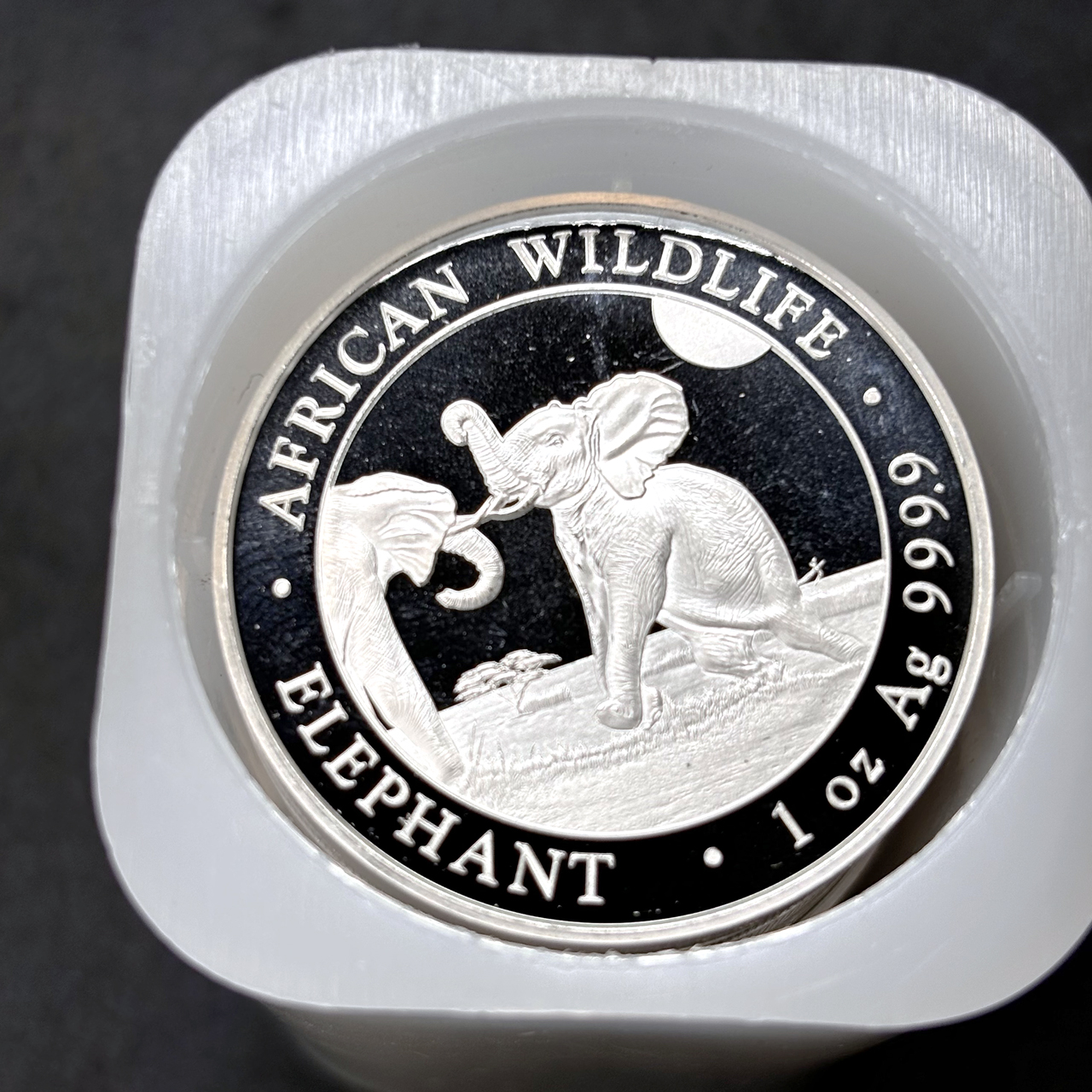 Серебряная монета 100 SOS Сомалийский слон 1oz 2024 года