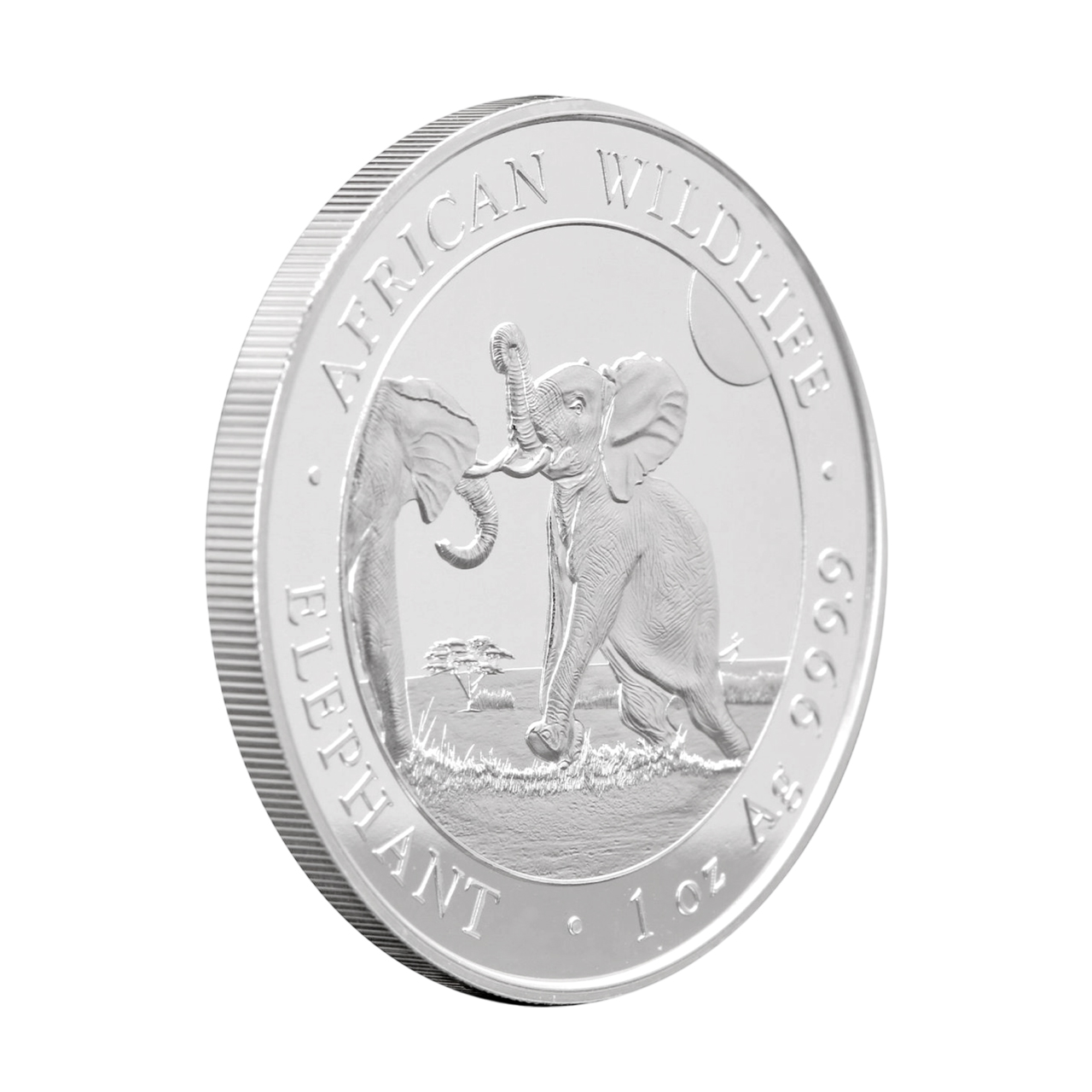 Серебряная монета 100 SOS Сомалийский слон 1oz 2024 года
