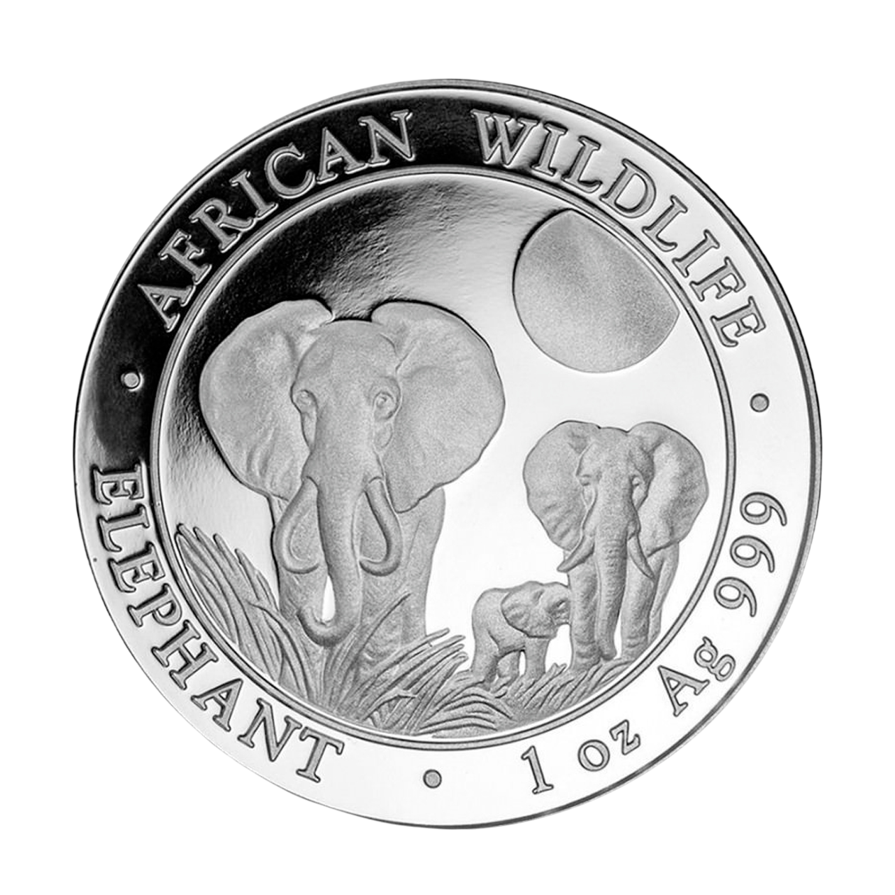 Серебряная монета 100 шиллингов Африканский слон 1oz 2014 Сомали