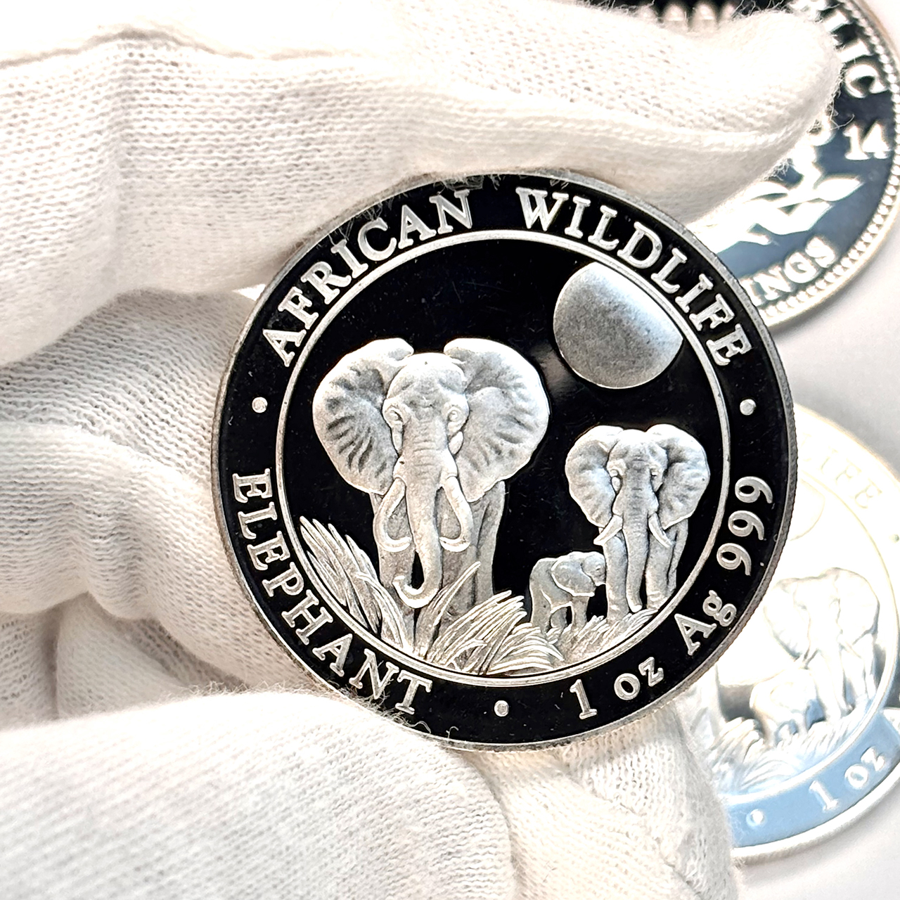 Серебряная монета 100 шиллингов Африканский слон 1oz 2014 Сомали