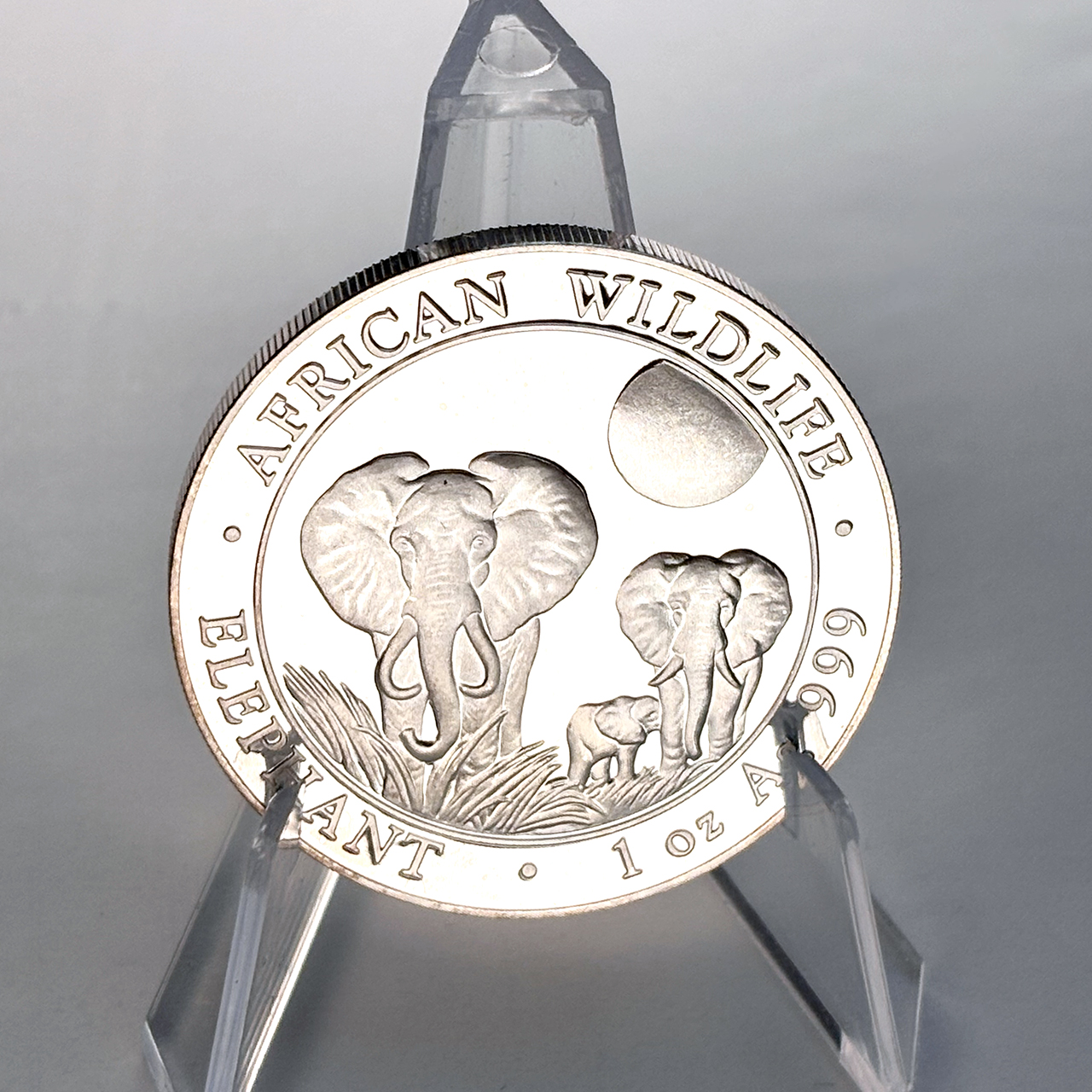 Серебряная монета 100 шиллингов Африканский слон 1oz 2014 Сомали